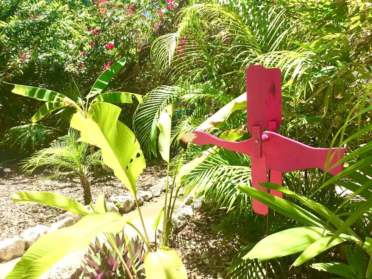 Camp Akumal - Hosted Family Bungalows Aparthotel