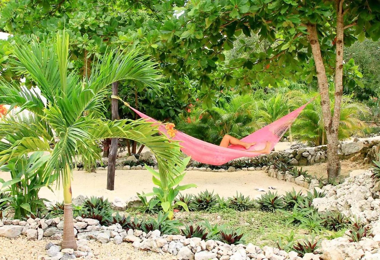 Camp Akumal - Hosted Family Bungalows 멕시코